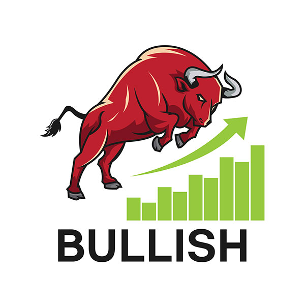 bullish on stocks